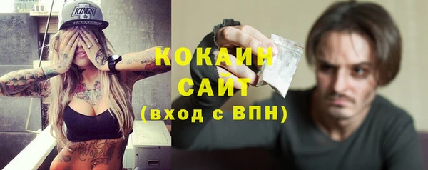 прущие грибы Козельск