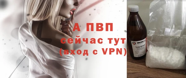 прущие грибы Козельск