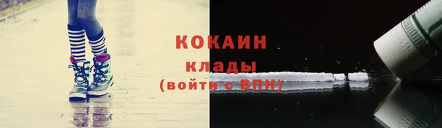 прущие грибы Козельск