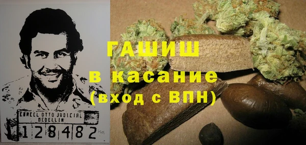 прущие грибы Козельск