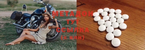 прущие грибы Козельск