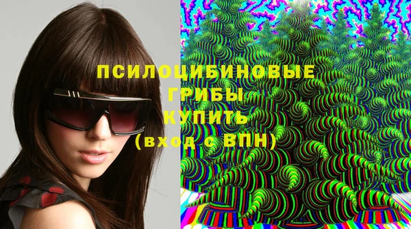 прущие грибы Козельск